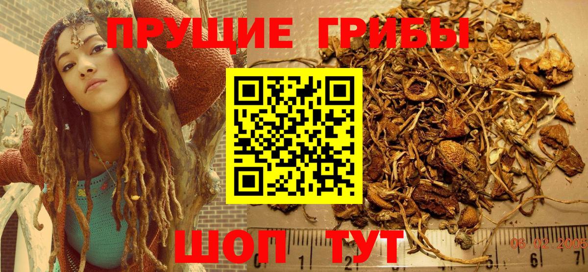 Сатка  Галлюциногенные грибы GOLDEN TEACHER  Вход с VPN 